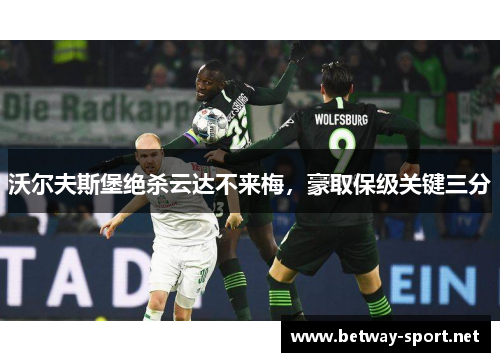 沃尔夫斯堡绝杀云达不来梅，豪取保级关键三分